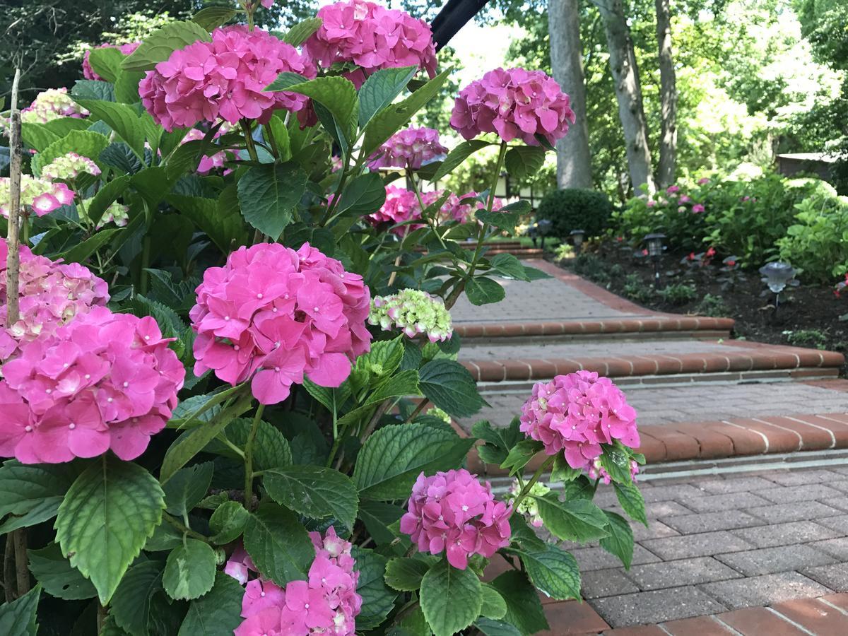 Bed & Breakfast Gramercy Mansion 4*